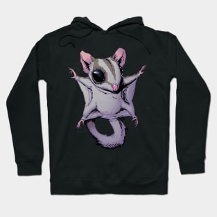 Cute Flying Sugar Glider Gift For Kids and Sugar Glider Lovers Hoodie